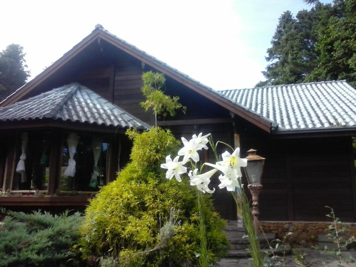 Chale Martinho Villa Gramado Ngoại thất bức ảnh