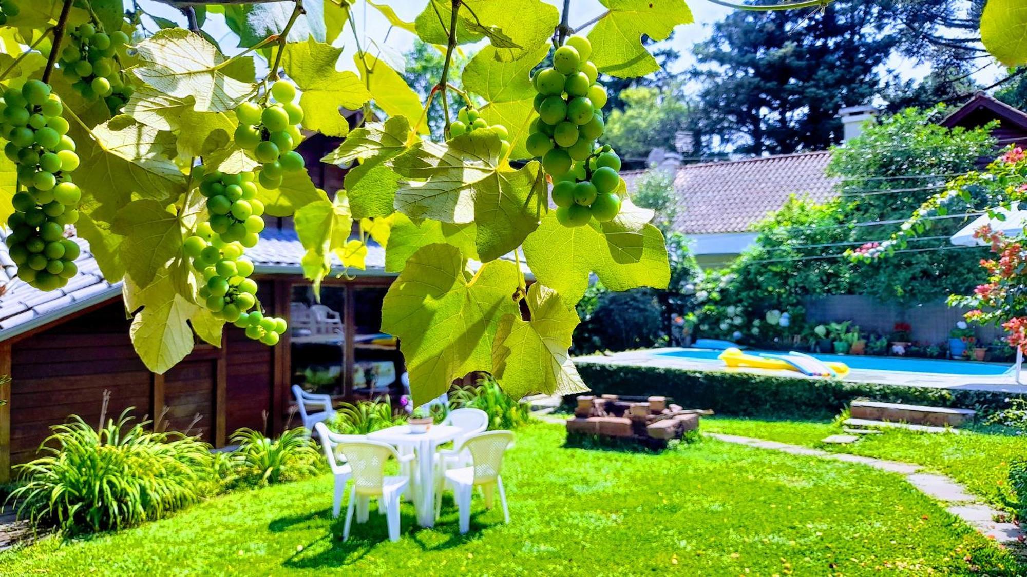 Chale Martinho Villa Gramado Ngoại thất bức ảnh