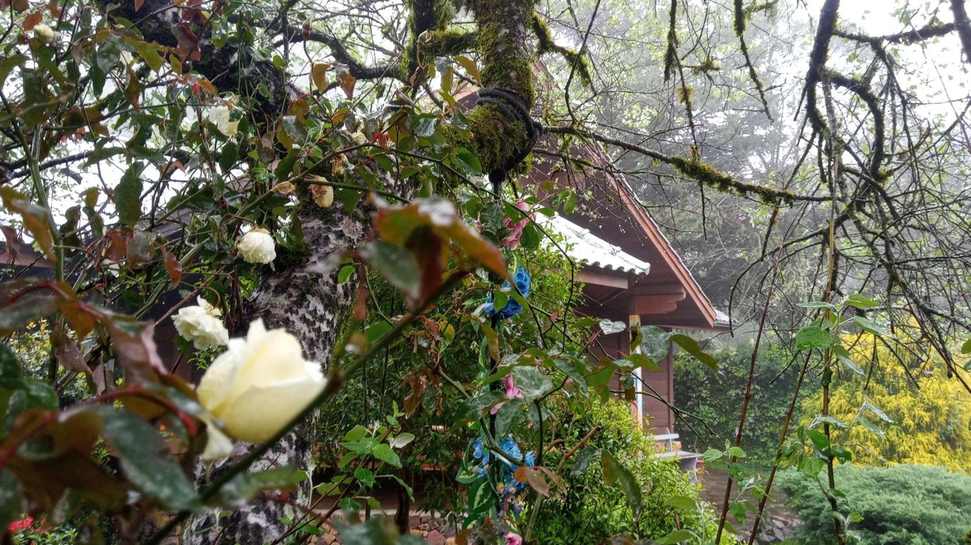 Chale Martinho Villa Gramado Ngoại thất bức ảnh