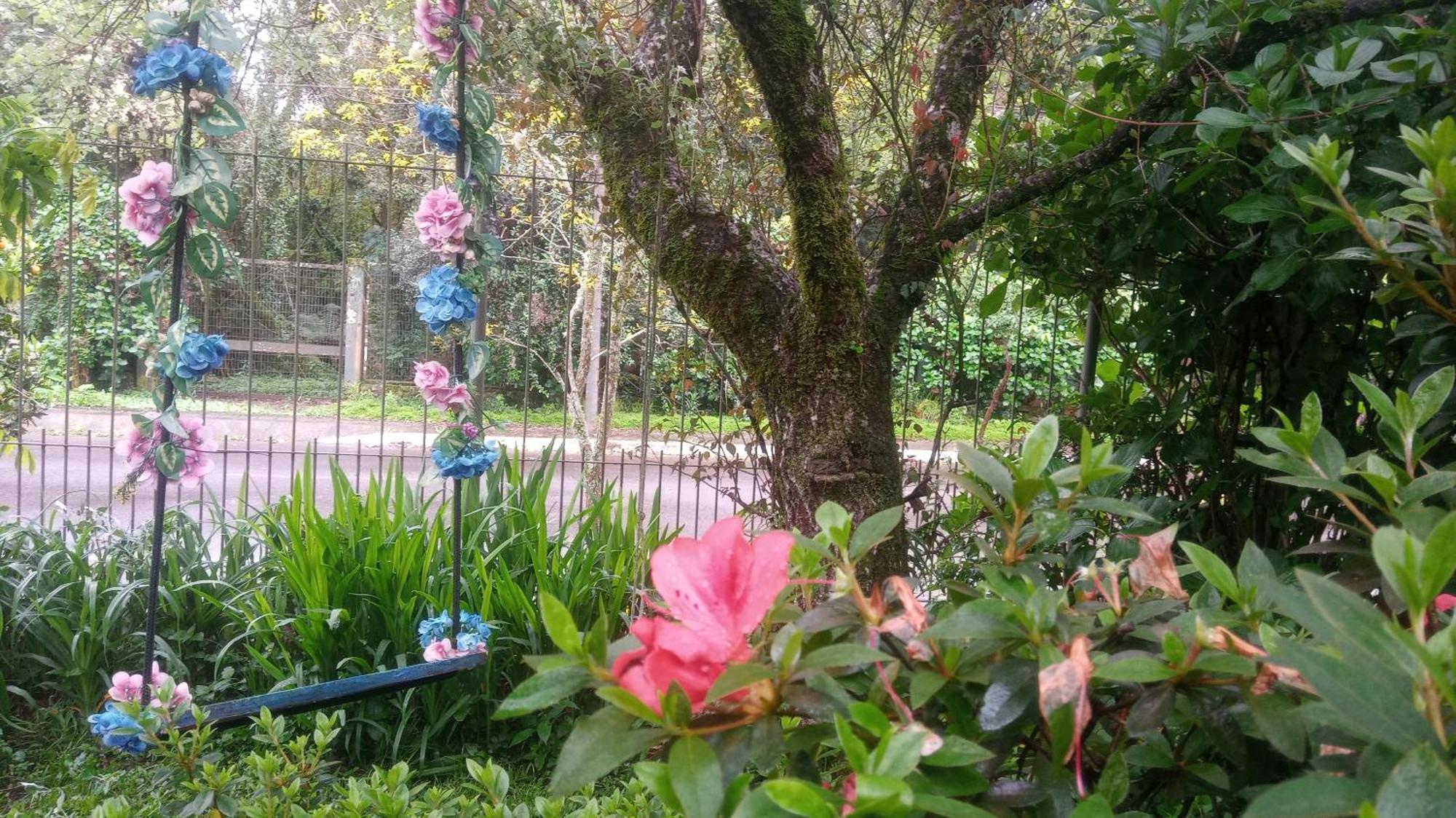 Chale Martinho Villa Gramado Ngoại thất bức ảnh