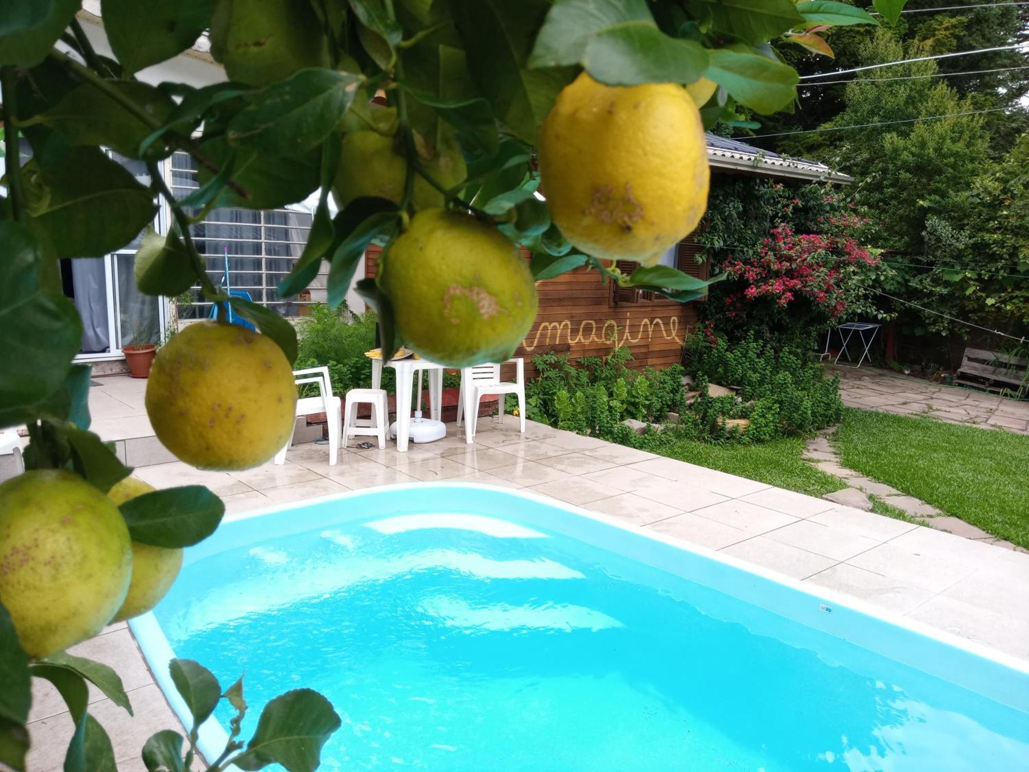 Chale Martinho Villa Gramado Ngoại thất bức ảnh